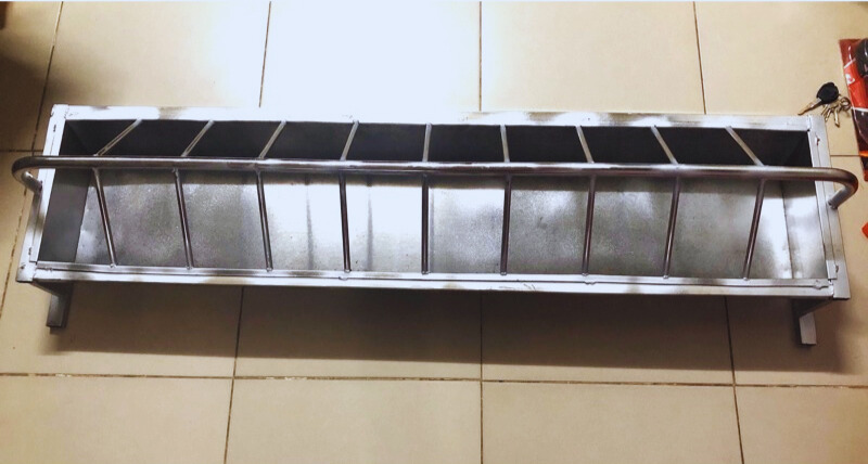 Dụng cụ ăn uống cho heo cảnh trong nhà