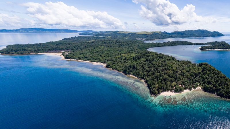 Lợn hươu Bắc Sulawesi sống ở đâu?
