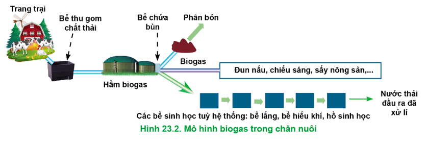 Công Nghệ Biogas Trong Chăn Nuôi