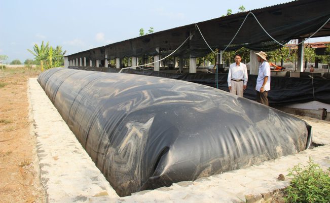 Công Nghệ Biogas Trong Chăn Nuôi
