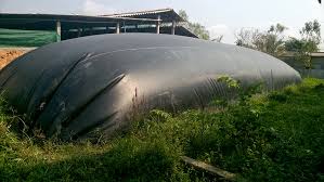 Công Nghệ Biogas Trong Chăn Nuôi