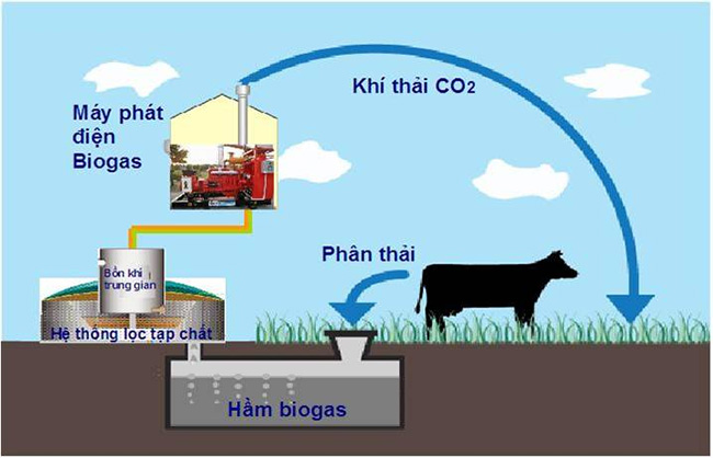 Công Nghệ Biogas Trong Chăn Nuôi