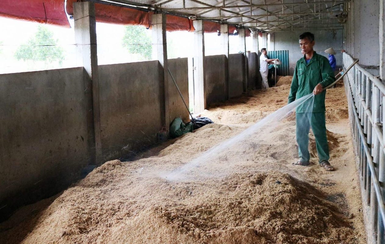 Xử lý chất thải chăn nuôi