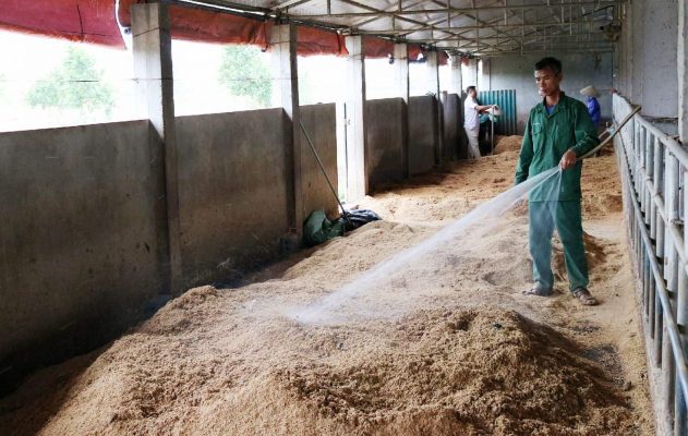 Xử lý chất thải chăn nuôi