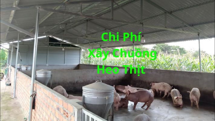 Chi Phí Xây Chuồng Heo Thịt