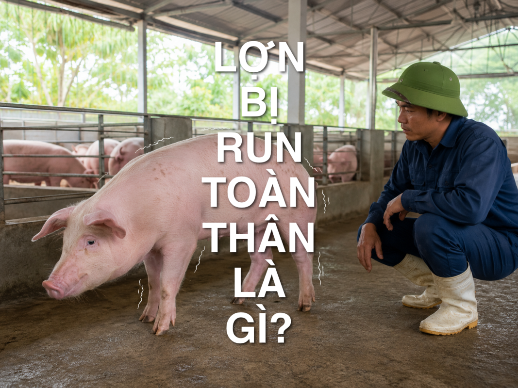 lon bi run chan toan than la gi
