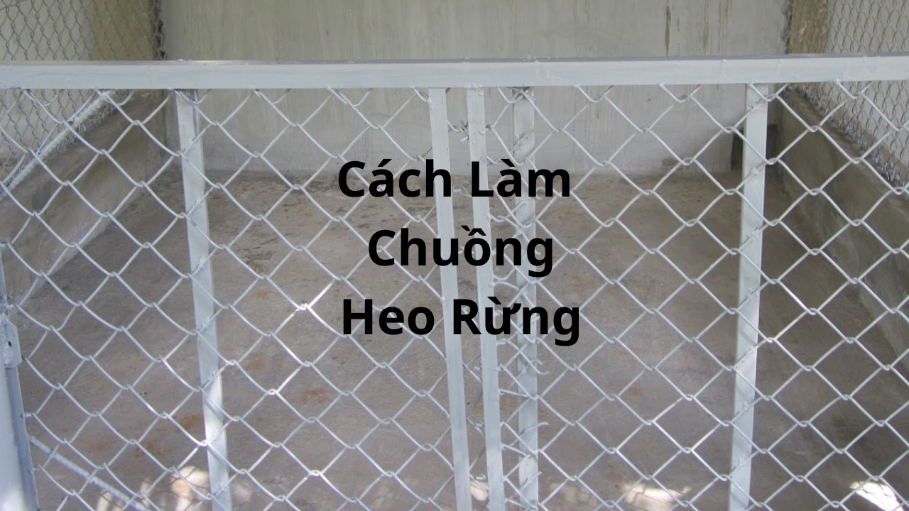 Cách Làm Chuồng Heo Rừng Đơn Giản: Nền Tảng Thành Công Bền Vững