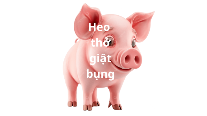 Heo Thở Giật Bụng