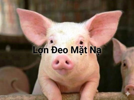 Lợn Đeo Mặt Nạ Là Gì