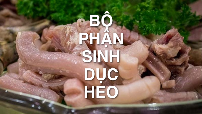 bo phan sinh duc heo goi la gi